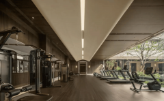 短计导入至多20万生齿